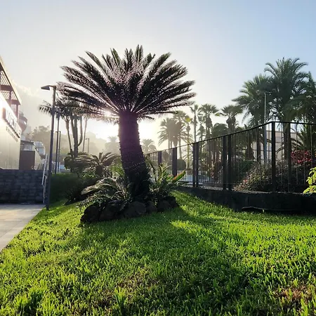 Ocean Dream Escape Appartement