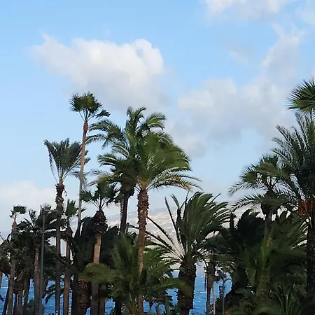 Ocean Dream Escape بويرتو ذي لا كروز