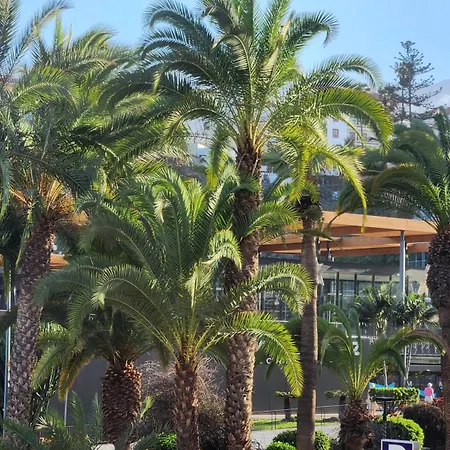 Ocean Dream Escape 푸에르토 드 라 크루즈