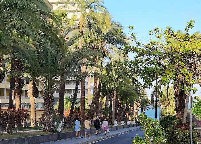 Ocean Dream Escape Lejlighed