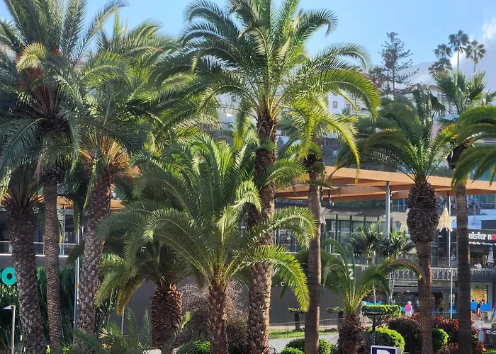 Ocean Dream Escape 拉克鲁斯