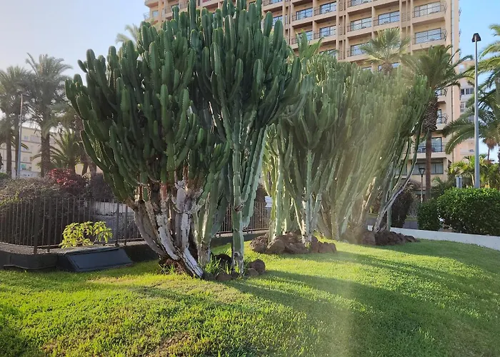 Ocean Dream Escape 公寓