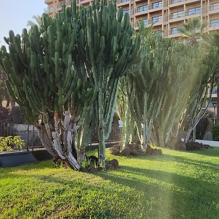 Ocean Dream Escape Апартаменты